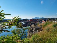 Statles Rorbusenter in Mortsund