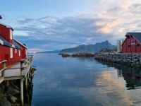 Statles Rorbusenter in Mortsund