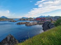 Statles Rorbusenter in Mortsund