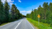 E75 - Eismeerstraße - Finnisch Lappland