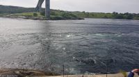 Bodø - Saltstraumen - Stärkster Gezeitenstrom der Welt