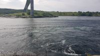 Bodø - Saltstraumen - Stärkster Gezeitenstrom der Welt