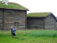 Maihaugen - Grasmahd wie früher