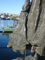 ...Stock- oder auch Klippfisch