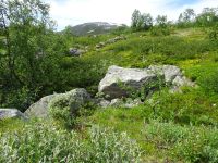 Bei den Geirangerveggen nach Grotli