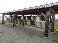 ...Angebote der Samen...