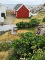 Blumenpracht von Lindesnes