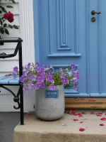 Wünschen wir auch ....