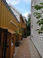 Weißgelb ist der Weg...