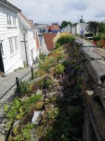 Für Kräuter gibt es immer Platz....