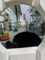 Hans guck durch die Lücke...