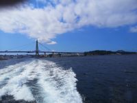 auf dem Weg zu Lysefjord