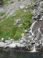 Leckerlies aus dem Schiff 