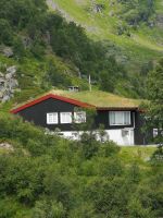 Grasdach ist die beste Isolation