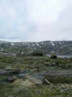 wild, aber nicht ohne Menschen...