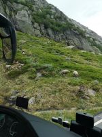 da ist schon grüner..