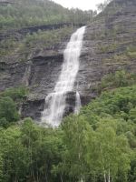 einer von vielen....