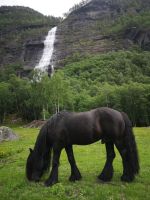 ... aber selten mit so einem Hengst in Vordergrund