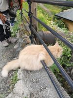 ... ich lasse mich bewundern..