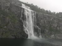 ... es gibt viele davon....  