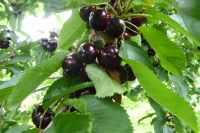 Kirchen in Norwegen?