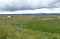 Hochebene um Dyrant Fjellstova