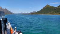 212 Lofoten, Adlersafari