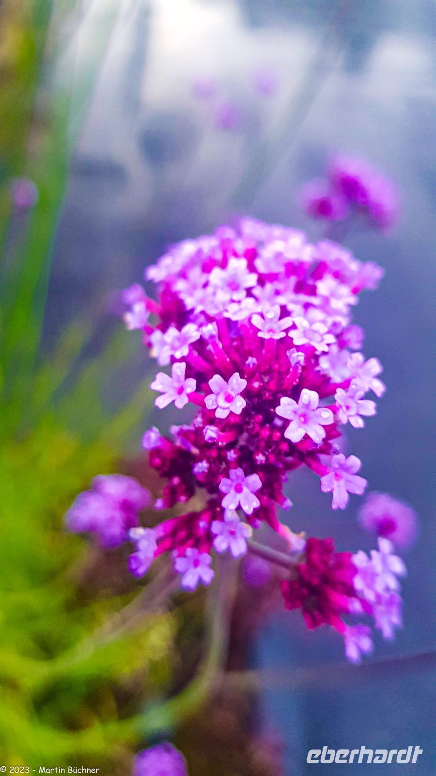 Abendspaziergang in Otta