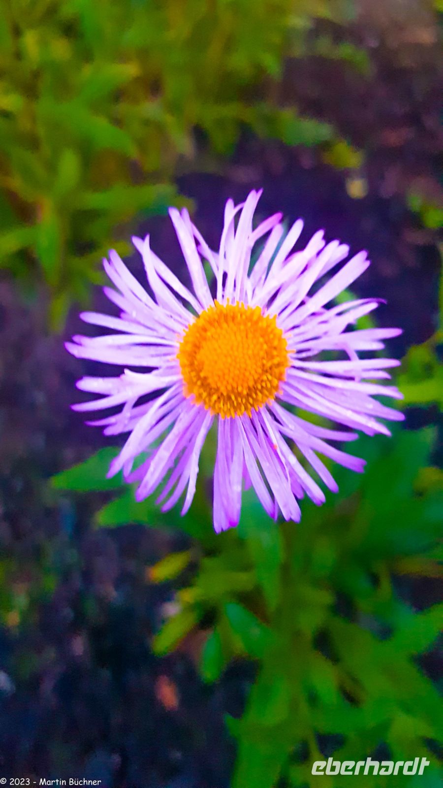 Abendspaziergang in Otta