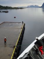 Torvik - wir legen an