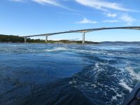 Saltsraumen - tolle Wasserwirbel...