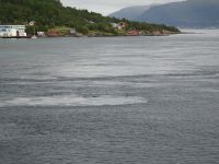 Strudel in der Hurtigrutenfahrrinne... 