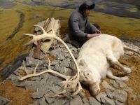 Polarmuseum - Dioramen...