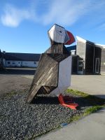 Vardo - Papageientaucher