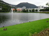 Bergen - 