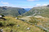 214 Jotunheimen