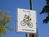 Trondheim: Bakklandet, 