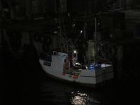 frischer Fisch wird nachts an Land geladen