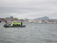 Bodø: RIB Bootsafari in den Saltstraumen