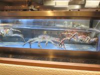 Königskrabben an Bord 