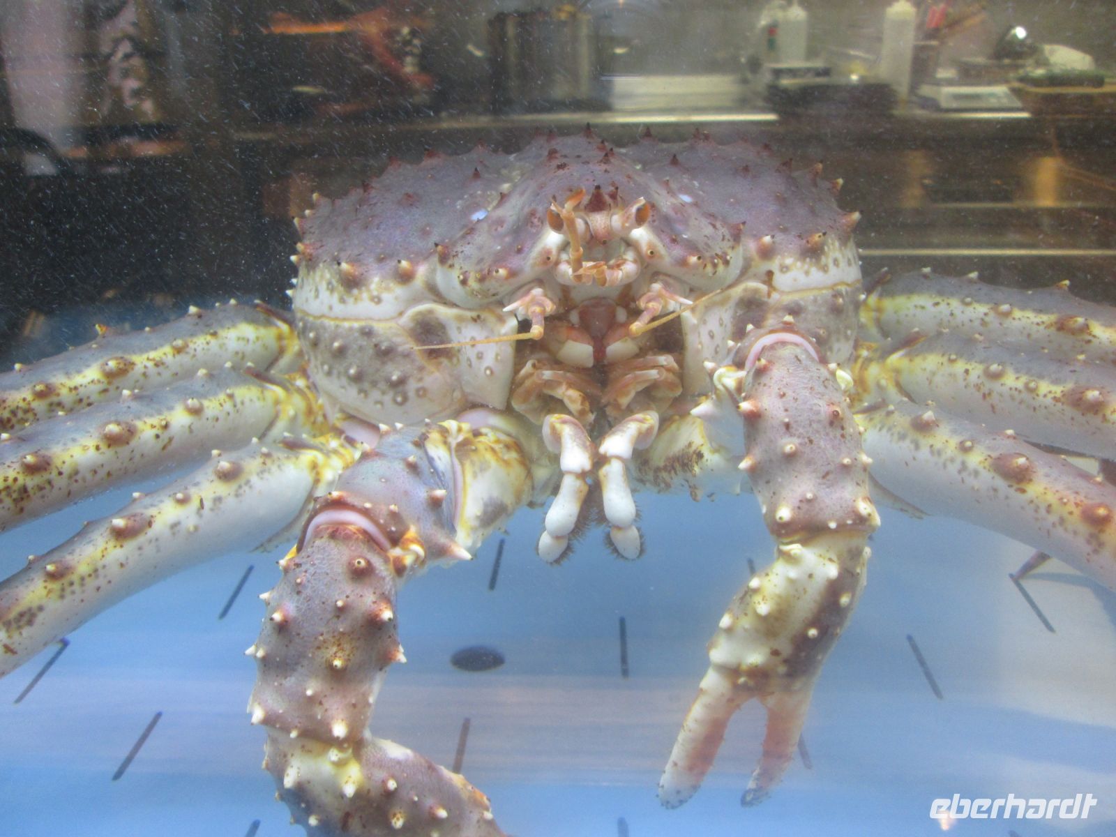 ...ob es ihr so gut geht?