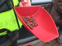 Fütterung durch Fischpellets bei der Aquakultur