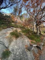 Spaziergang auf den Aksla in Ålesund