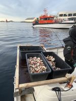 Spaziergang in Ålesund