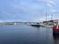 Stadtrundgang in Trondheim