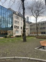 Stadtrundgang in Trondheim