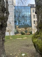 Stadtrundgang in Trondheim