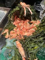 Abendbuffet an Bord der MS Nordlys