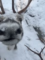 Besuch des Schneehotels