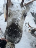 Besuch des Schneehotels